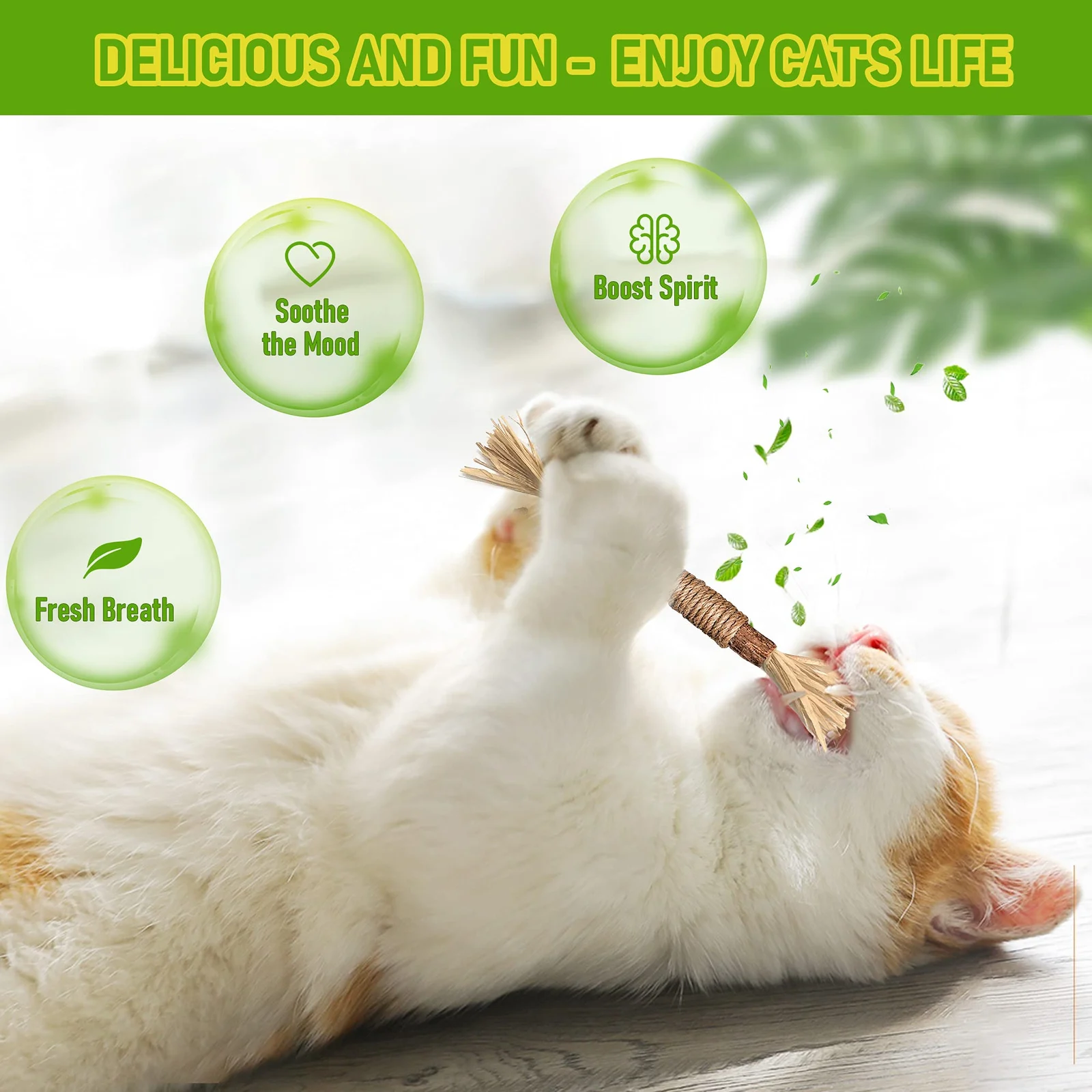 Silvervine Sticks Cat Chew Toys For Indoor Cats Dental Care Teeth Cleaning, Natural… — image 7