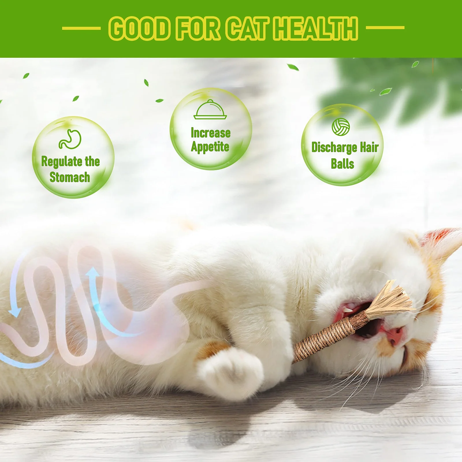 Silvervine Sticks Cat Chew Toys For Indoor Cats Dental Care Teeth Cleaning, Natural… — image 1
