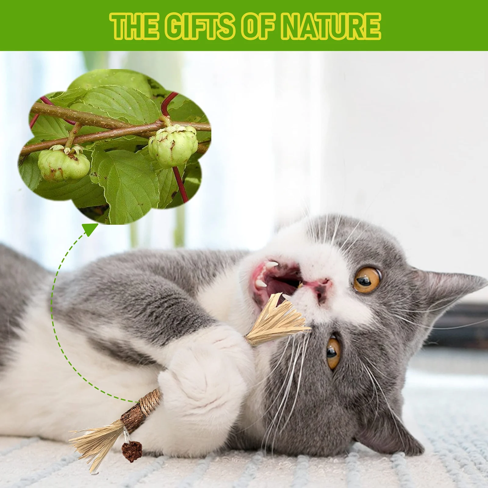 Silvervine Sticks Cat Chew Toys For Indoor Cats Dental Care Teeth Cleaning, Natural… — image 5
