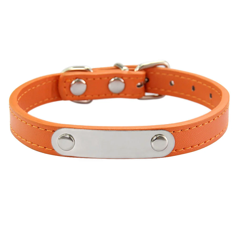 Simple Dog Collar Lettering To Prevent Loss — image 13