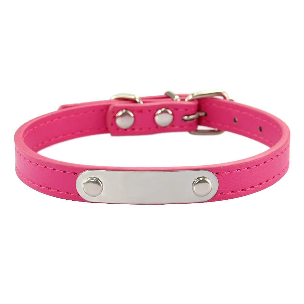 Simple Dog Collar Lettering To Prevent Loss — image 14