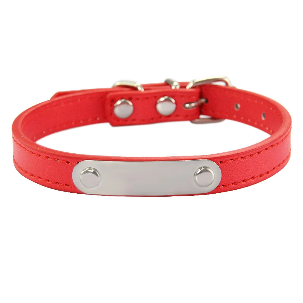 Simple Dog Collar Lettering To Prevent Loss — image 5