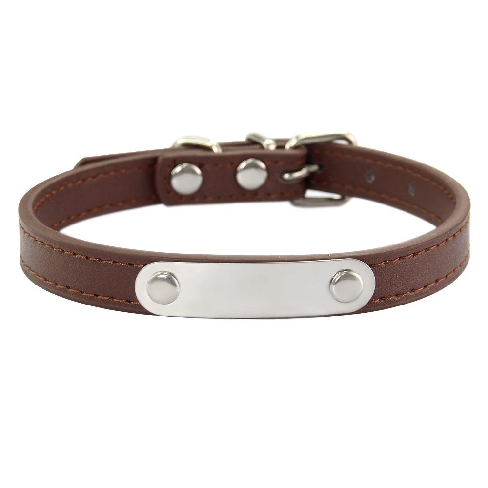 Simple Dog Collar Lettering To Prevent Loss — image 11