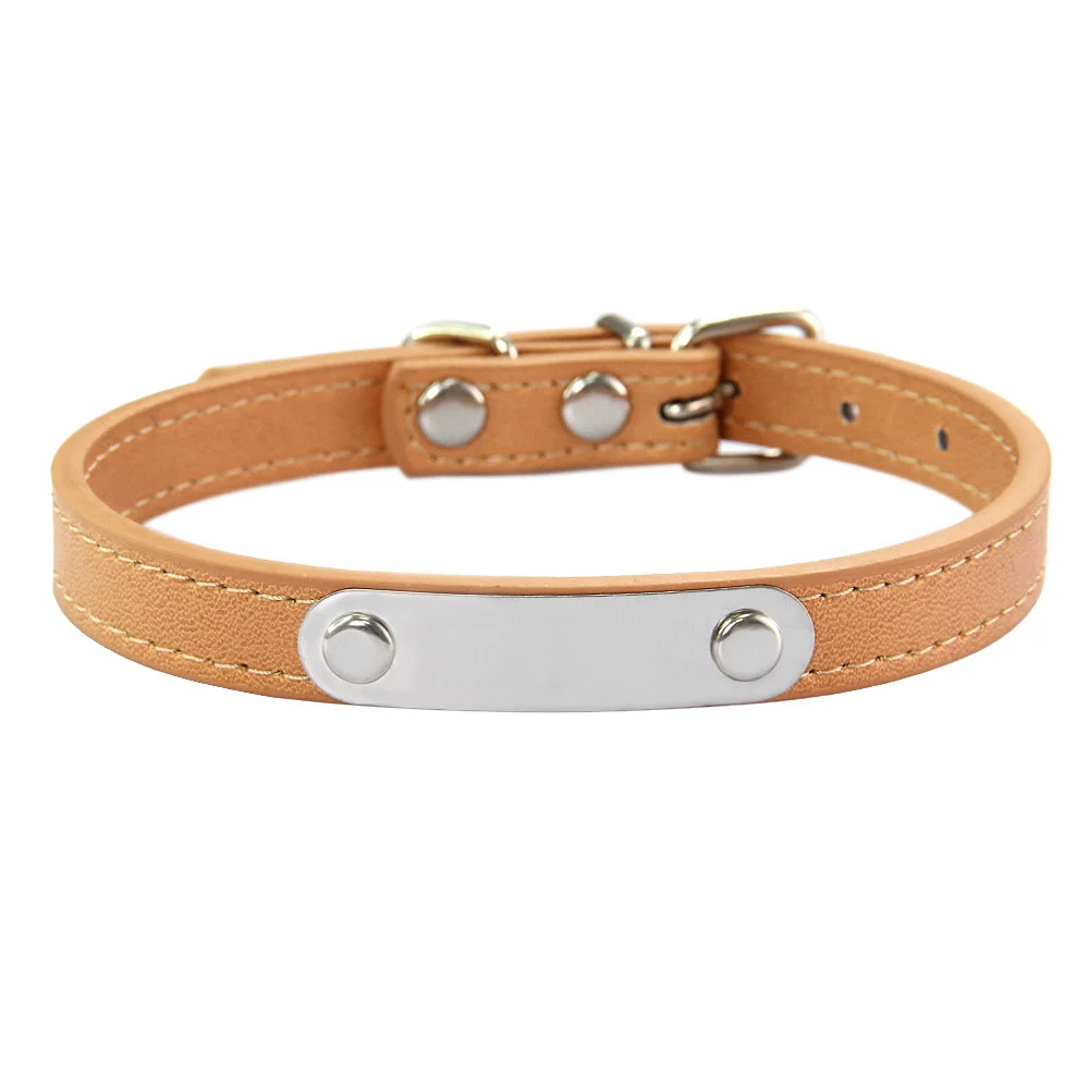 Simple Dog Collar Lettering To Prevent Loss — image 12