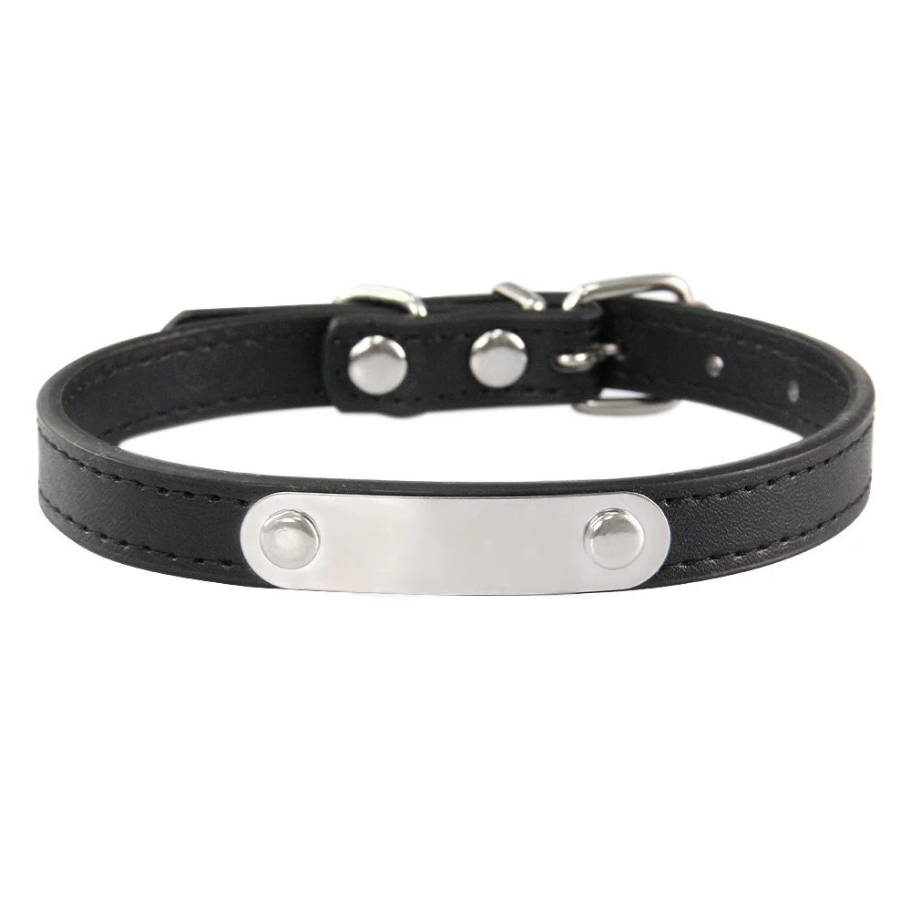 Simple Dog Collar Lettering To Prevent Loss — image 4