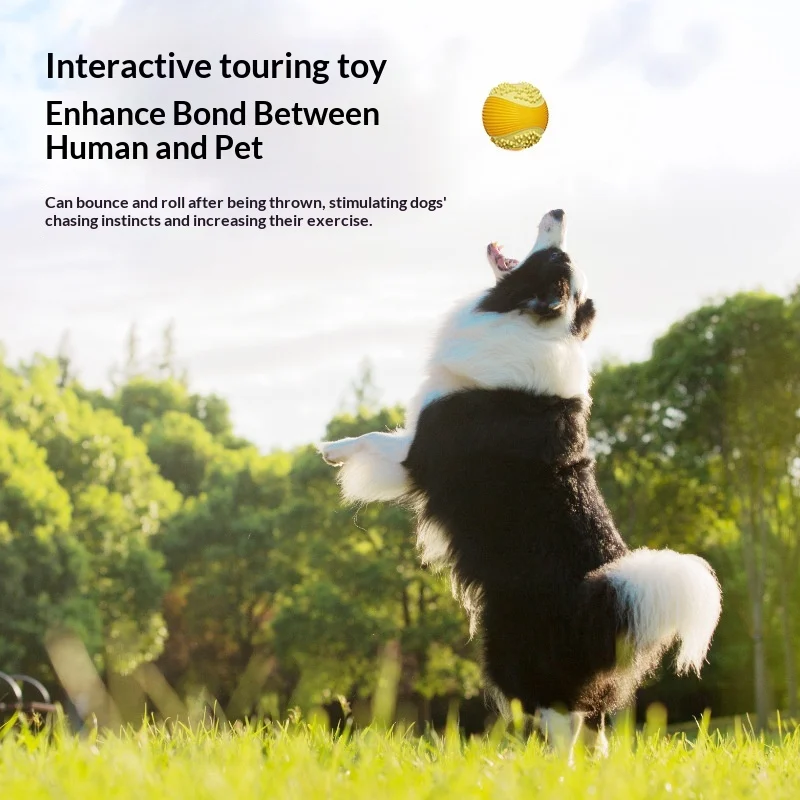 Small Size Squeaky Golf Ball Dog Chew Toy, New Material, Training Toy For Teddy & Golden. — image 4