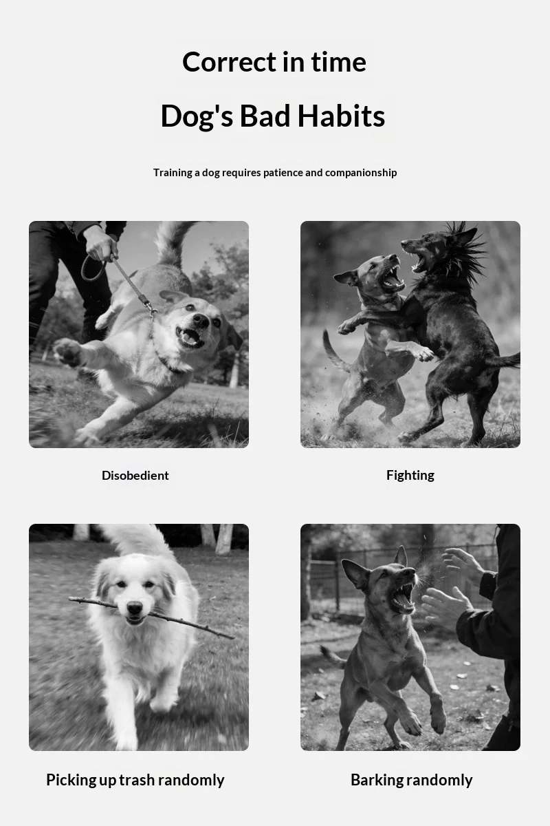 Smart Remote Dog Training Collar With Vibration & Shock Anti-bark Device — image 5