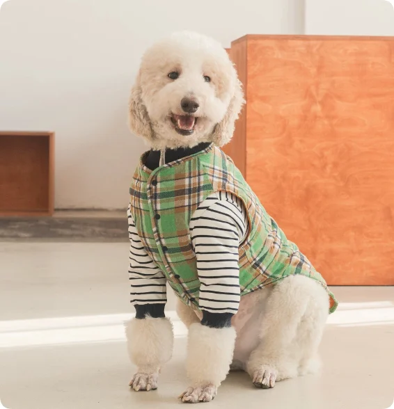 Thermal Protection Labrador Golden Retriever Samoyed Premium Pet Clothing — image 6