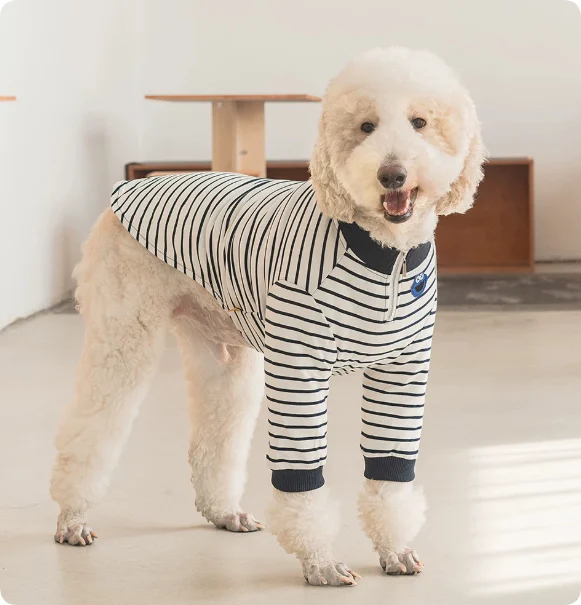 Thermal Protection Labrador Golden Retriever Samoyed Premium Pet Clothing — image 2