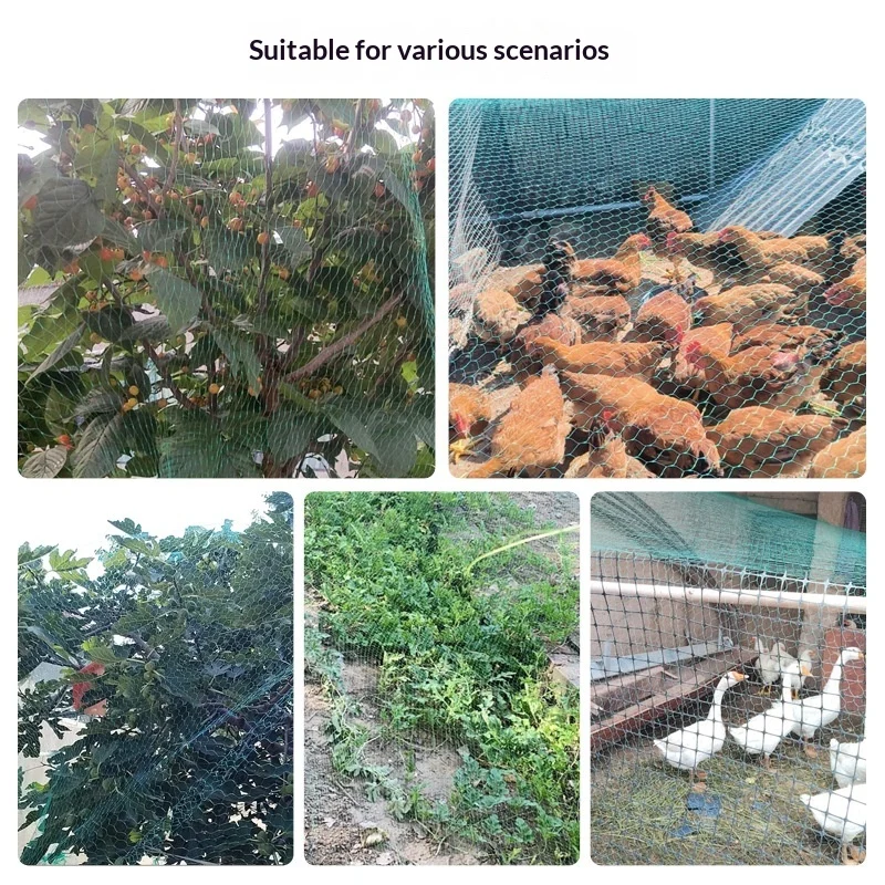 Thickened Nylon Mesh, Garden Netting, Bird-proof Net For Orchards — image 3