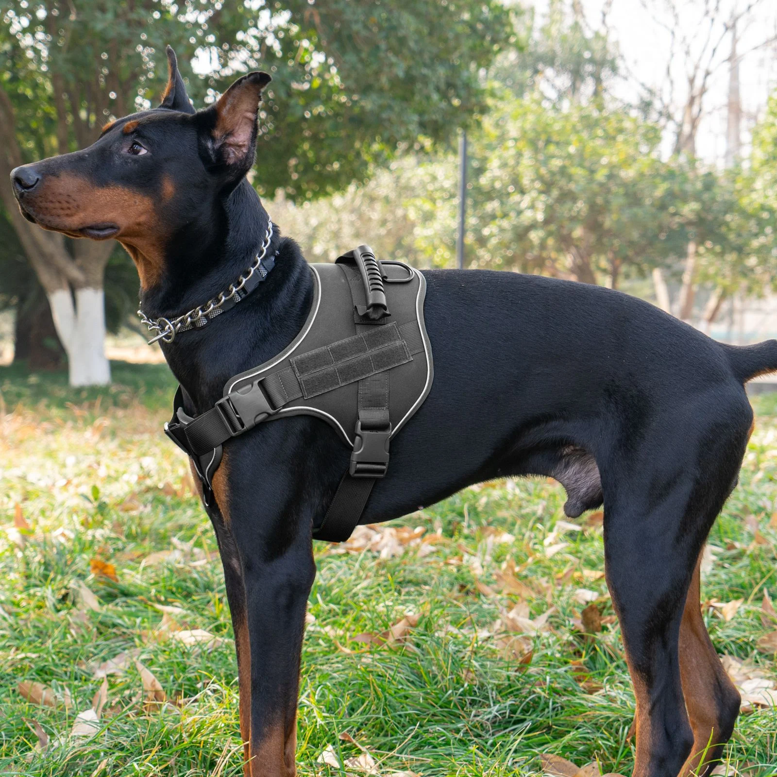 Traction Rope For Large Dogs Breathable Tactical Harness — image 10