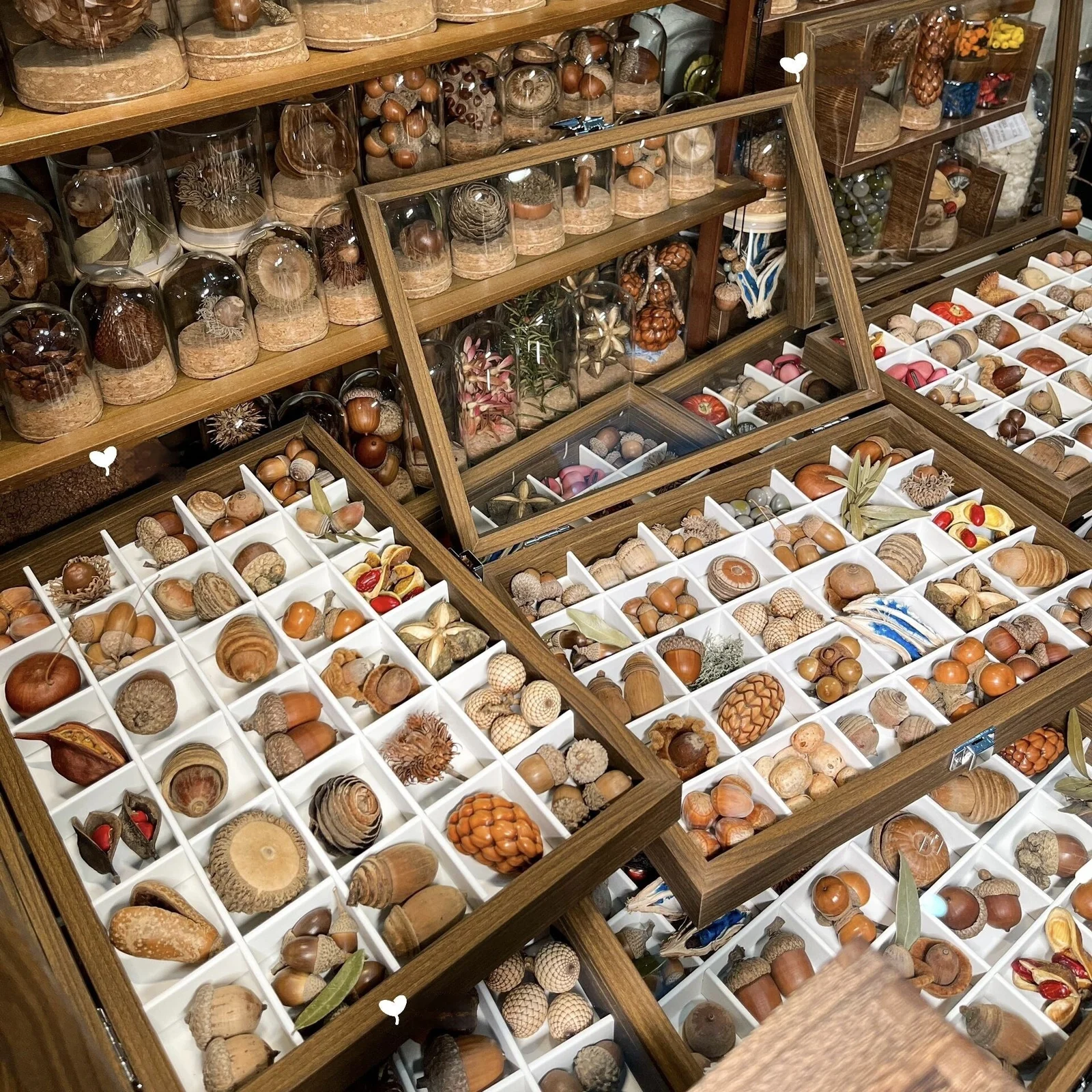 Walnut-grain Color Sample Storage Box With Lid Dustproof — image 2