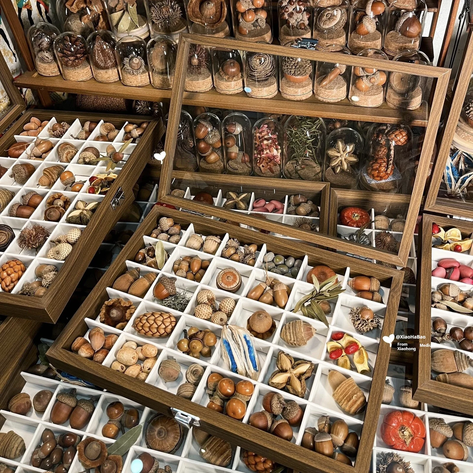 Walnut-grain Color Sample Storage Box With Lid Dustproof — image 6
