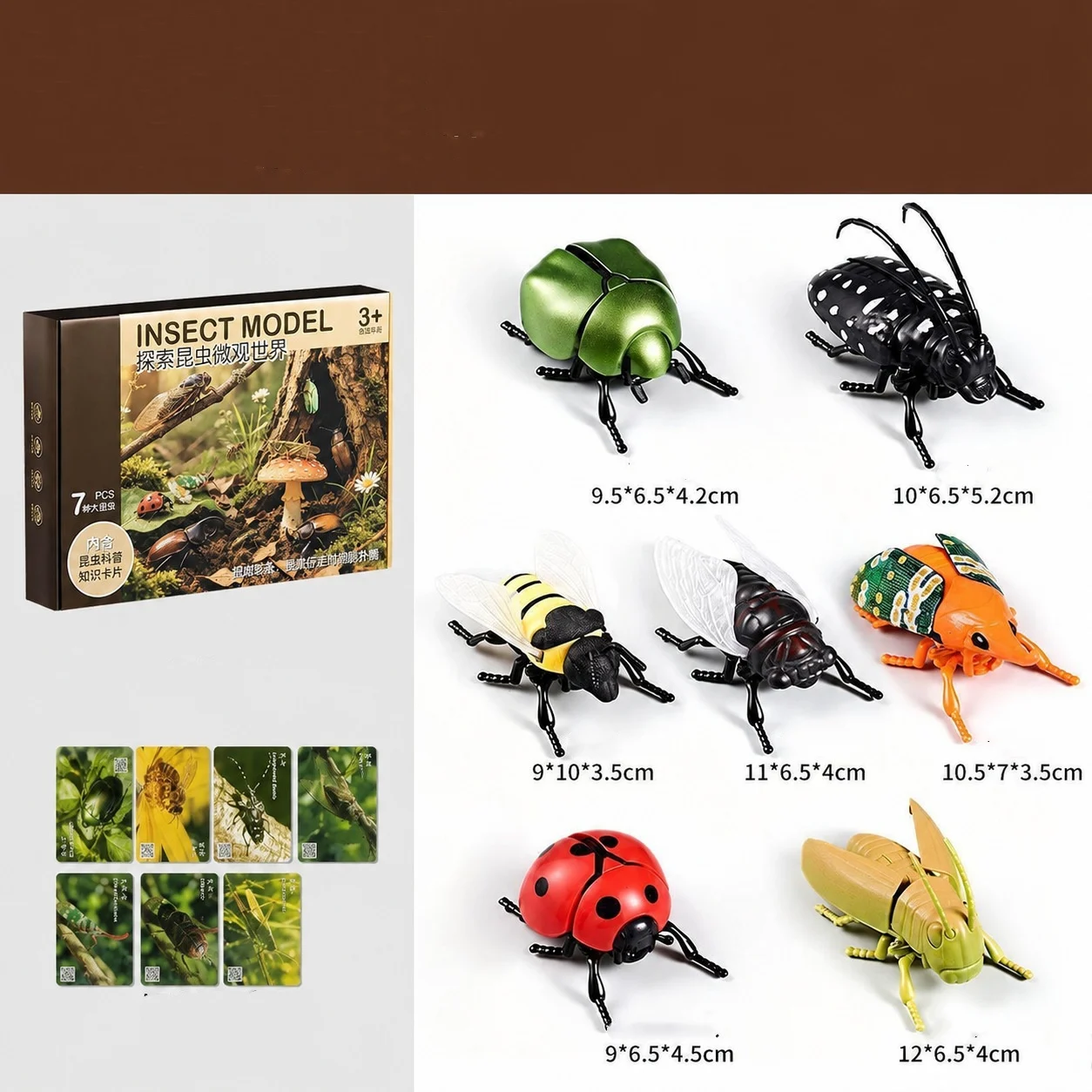 Wind-up Insect Model Toy For Children — image 6