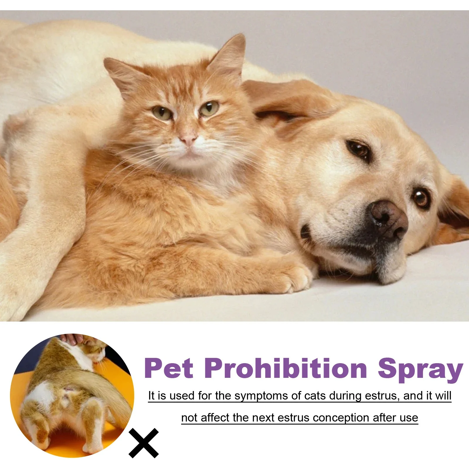 Yegbong Pet Care Solution Improves Mood Conditioning Spray For Cats And Dogs — image 3