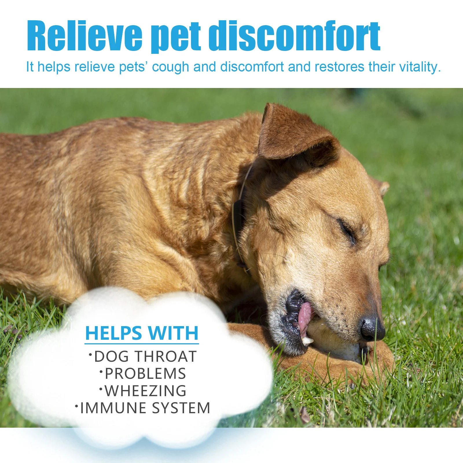 Yegbong Pet Cough Herbal Drops Body Discomfort Care For And Runny Nose — image 3