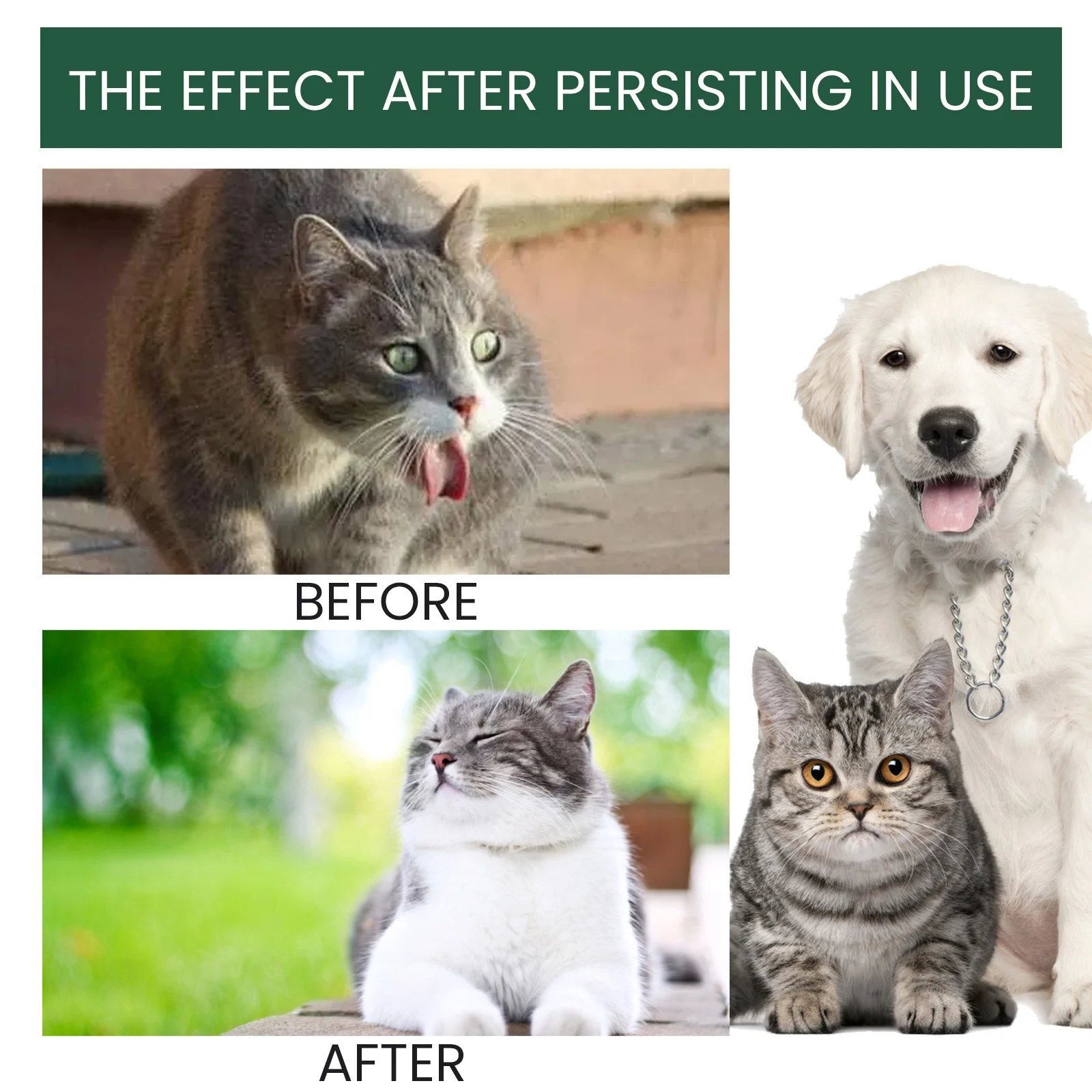 Yegbong Pet Probiotic Drops For Cats And Dogs, Oral Care Solution Body Discomfort Bad… — image 6