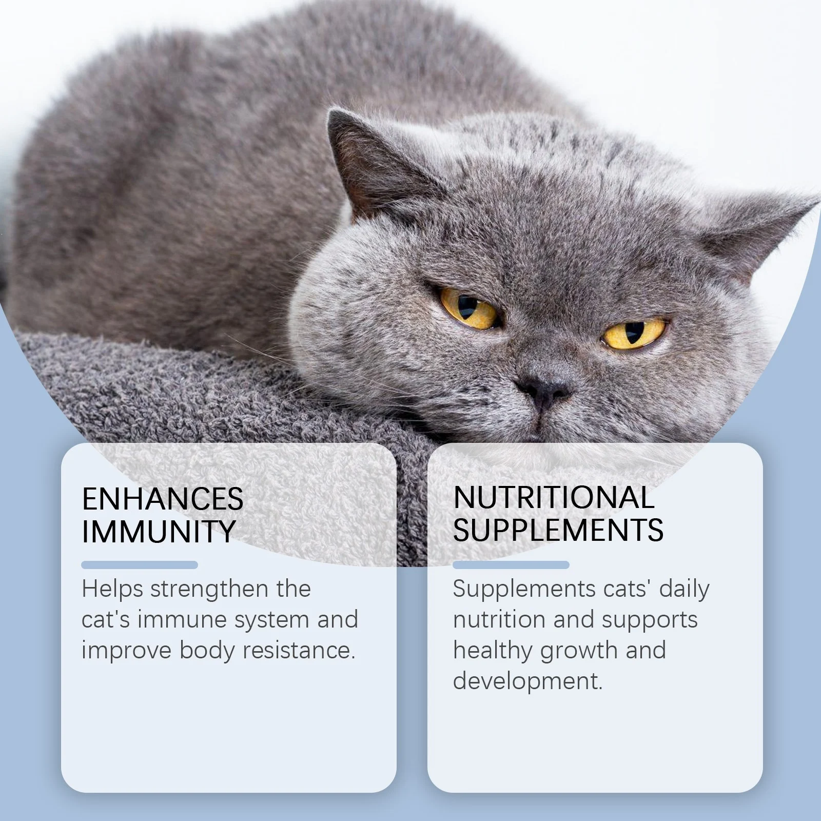 Yegbong Vitamin Supplements For Cats, Mild Formula Daily Care Pet Drops — image 3