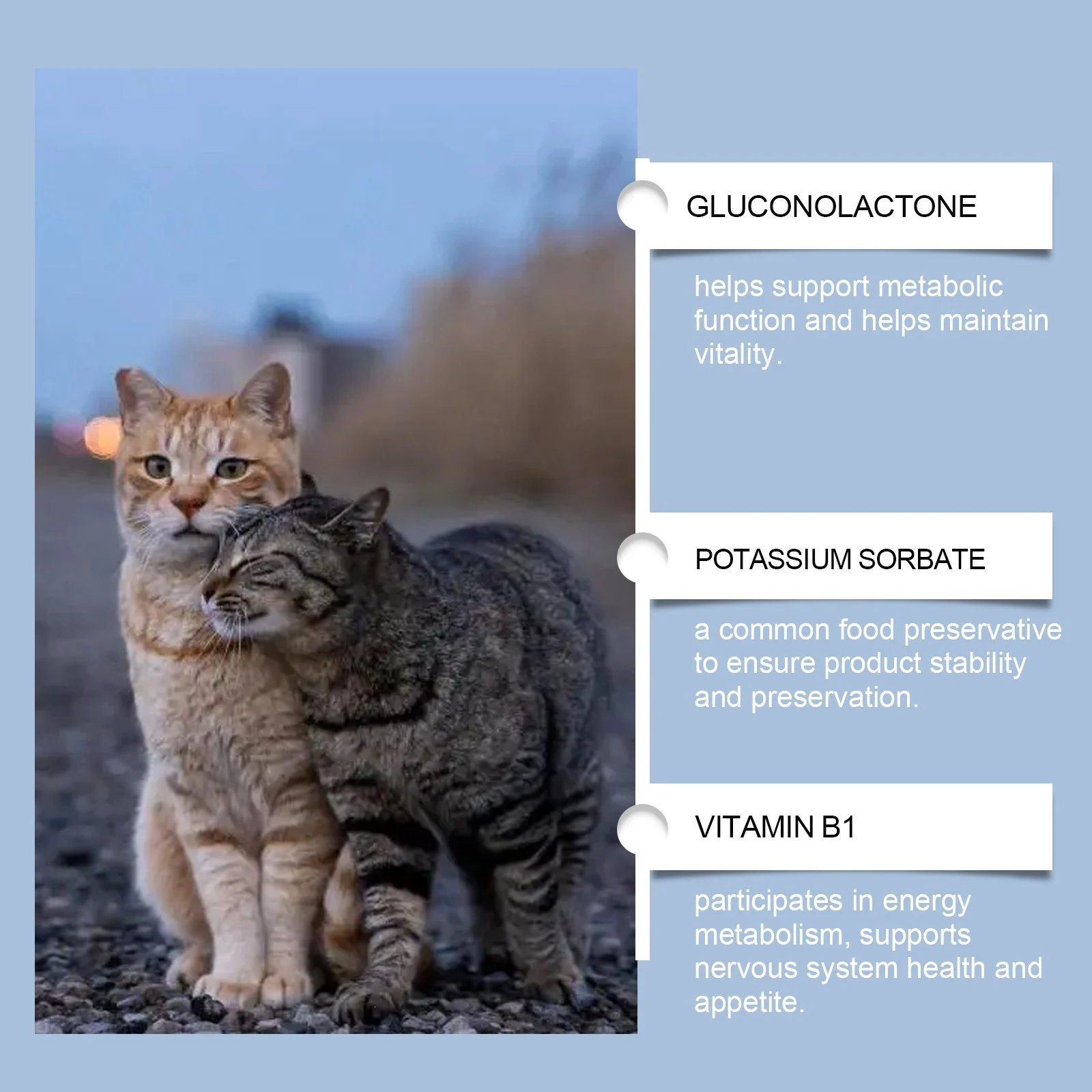 Yegbong Vitamin Supplements For Cats, Mild Formula Daily Care Pet Drops — image 6